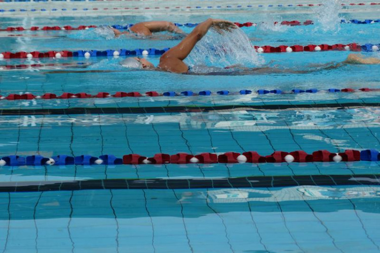 d3431c2cf2c26444b9cd69fe9924f74c