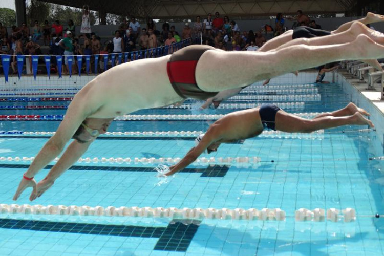 f73314d7c6262ac3fd655b619259a44e